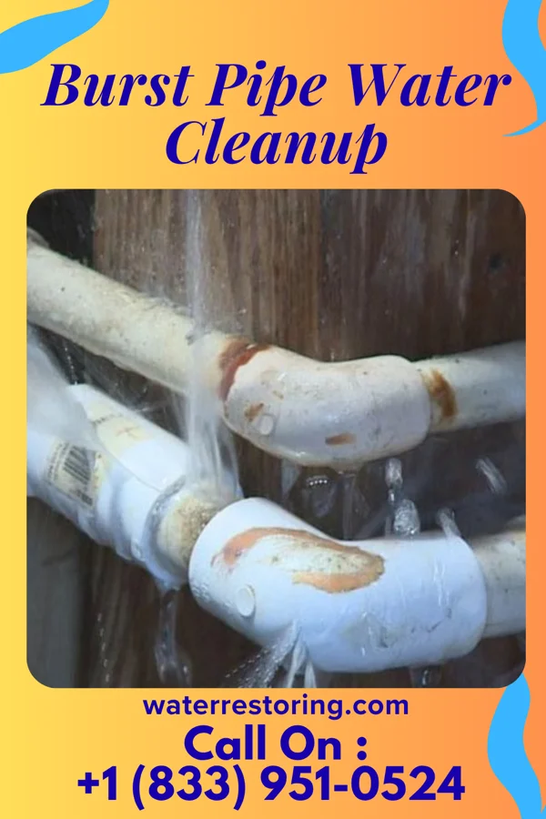 Burst Pipe Water Cleanup in Madison, AR